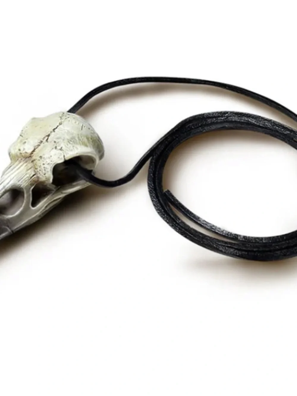 Reliquary Raven Skull pendant necklace Alchemy Gothic Sacred Talisman Unisex